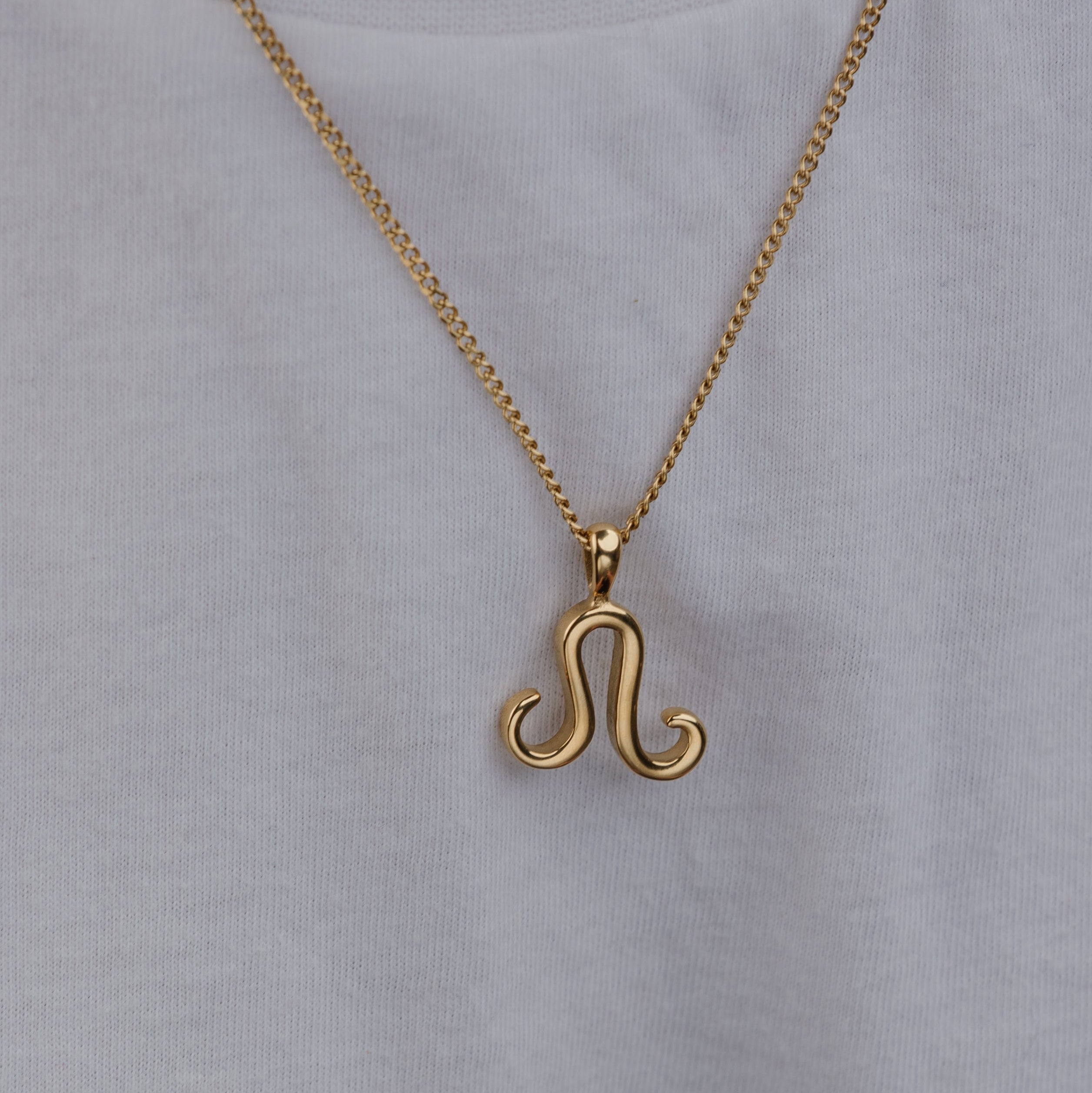 LEO (GOLD) Pendant+ Chain