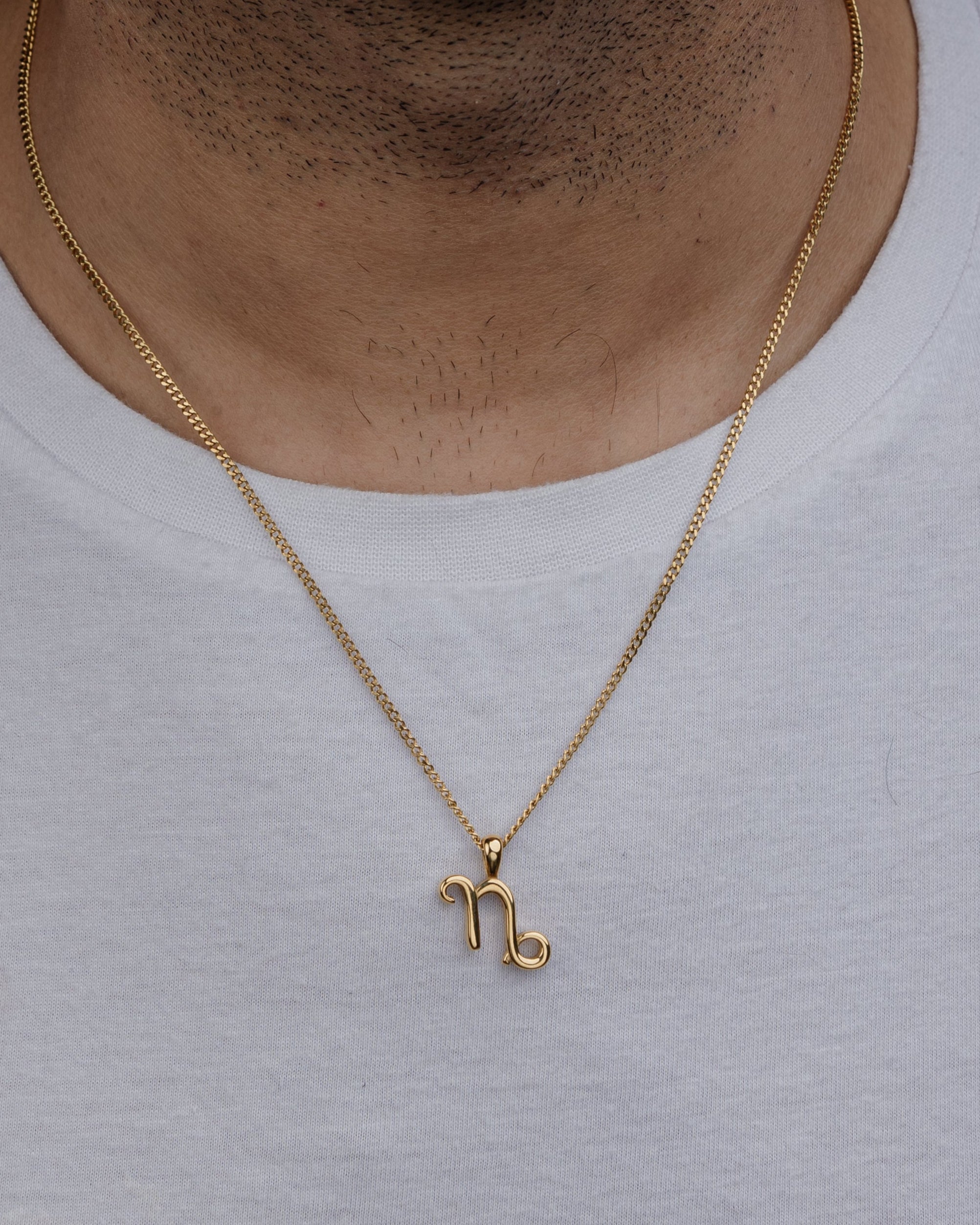 CAPRICORN (GOLD) PENDANT+ CHAIN