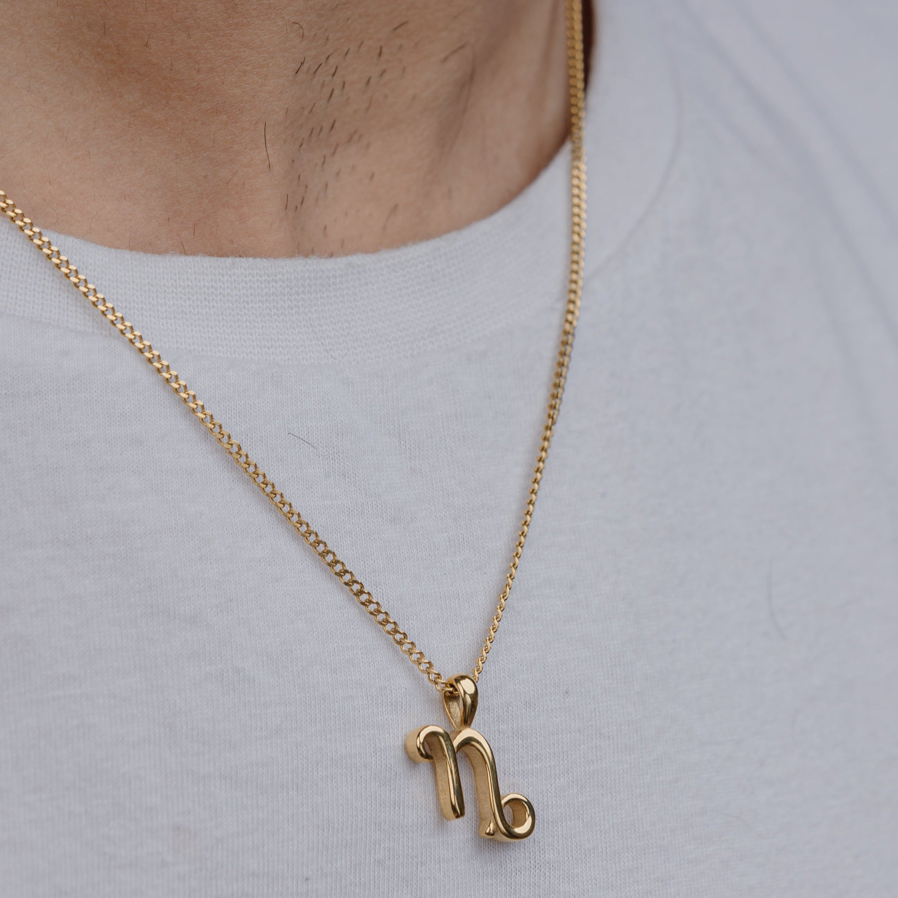 CAPRICORN (GOLD) PENDANT+ CHAIN