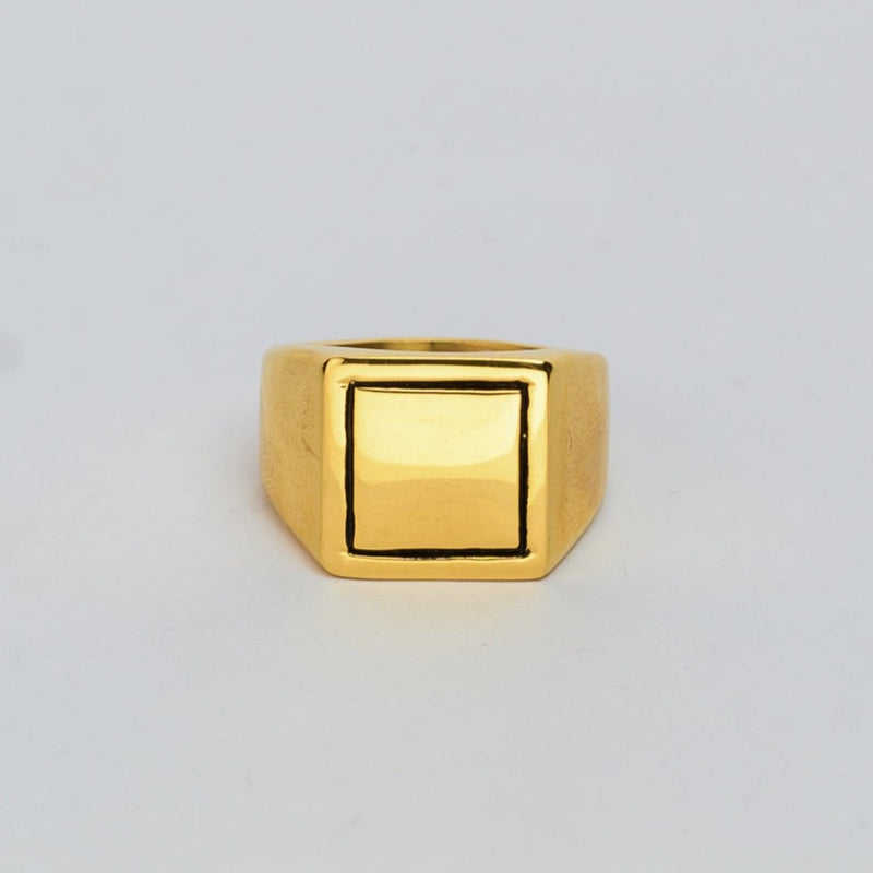 LANURA 2.0 RING (GOLD)
